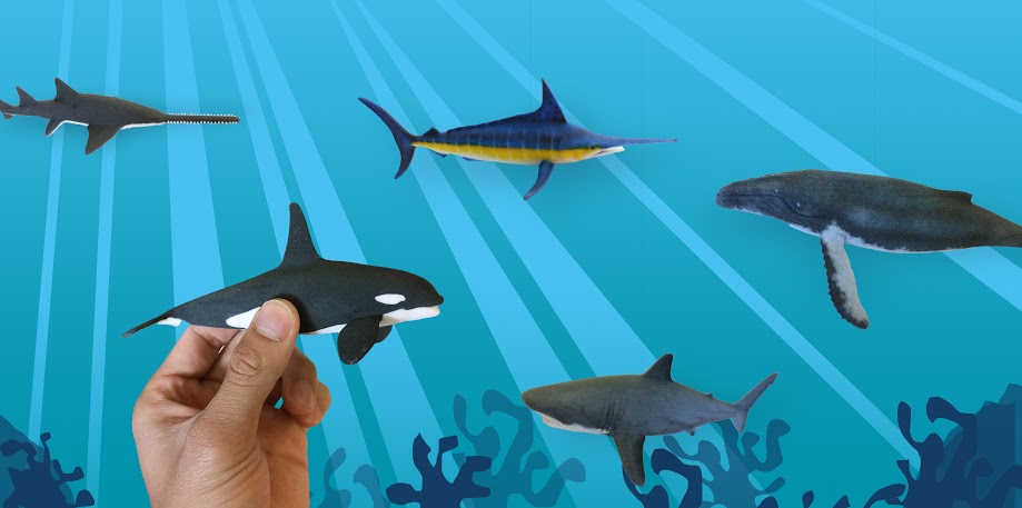 TurboSquid & 3D Hubs Kick Off New Partnership with 3D Printable Shark Week Collection (3dprint.com)